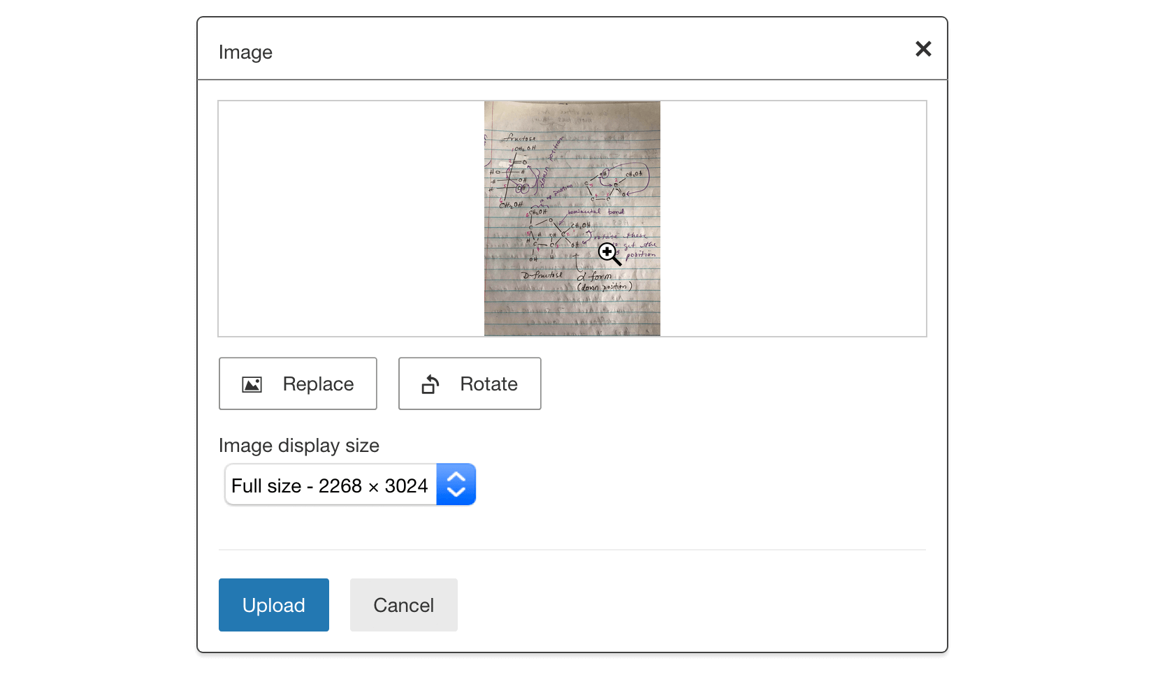 Image of the student view when uploading an image in the modal.