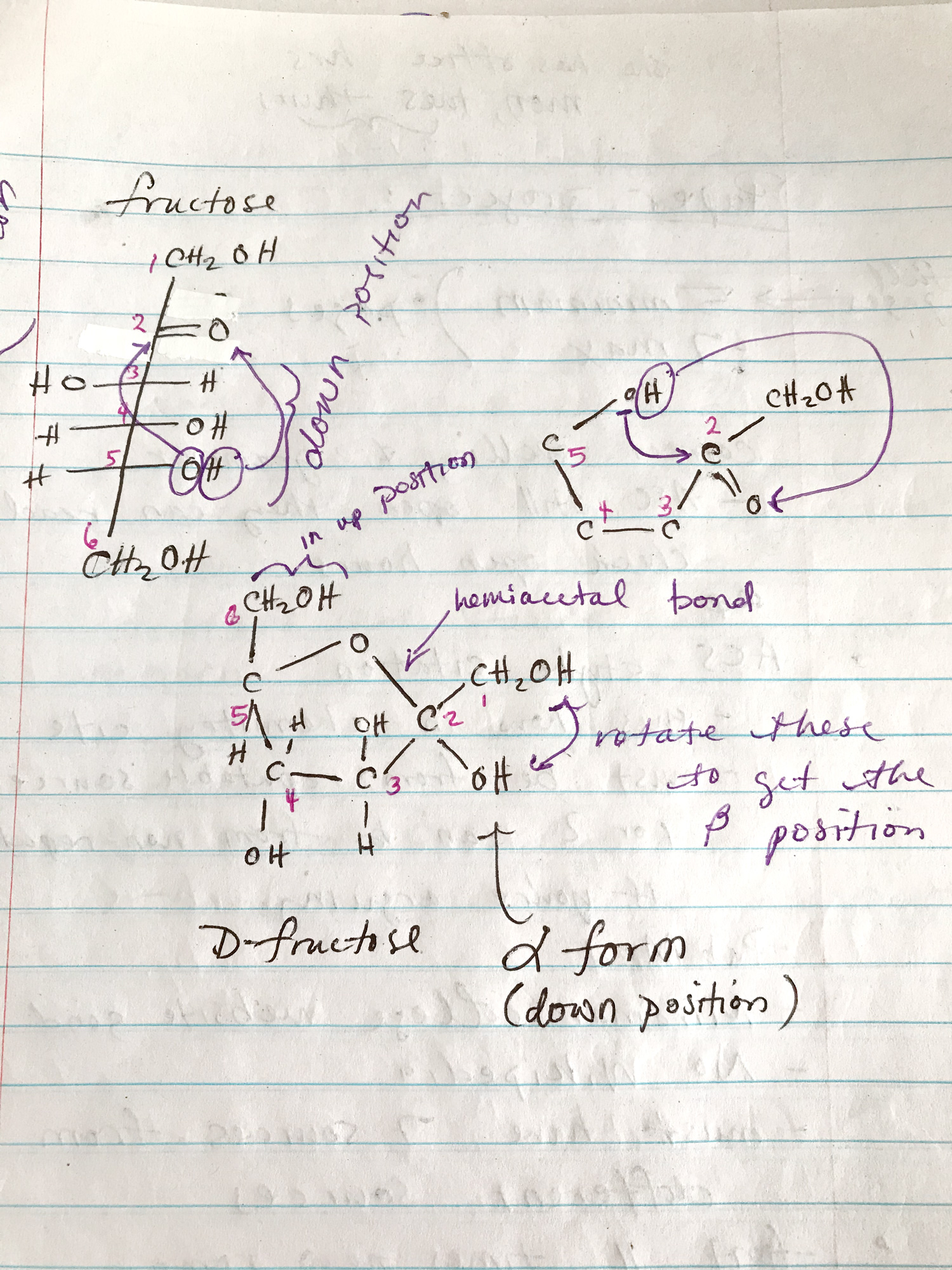 Handwritten chemistry diagram made by a student with pen on blue lined paper.