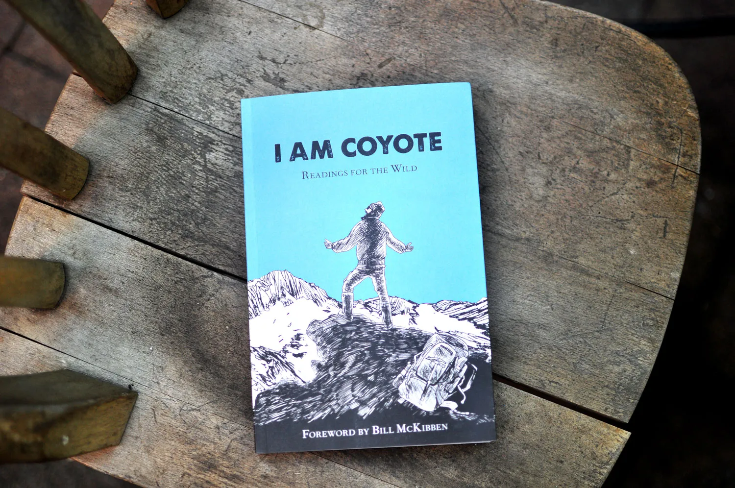 Blue I Am Coyote book on a chair outdoors