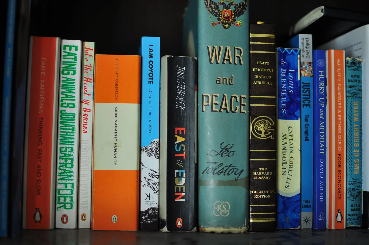 Blue I Am Coyote book in book shelf with other classic books