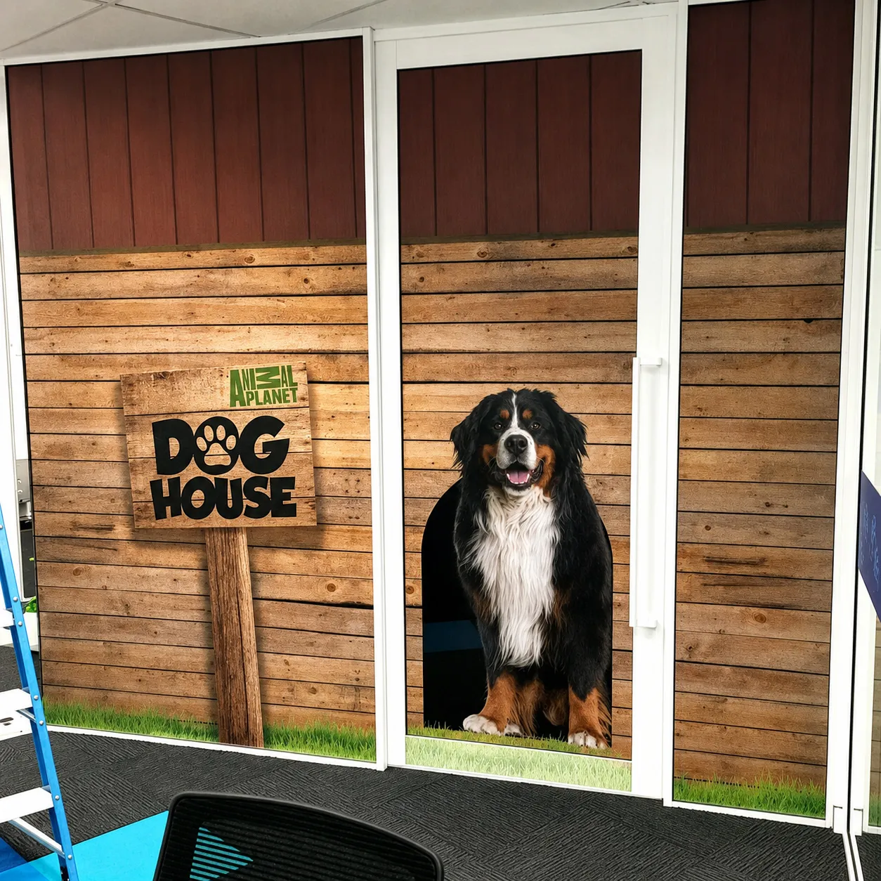 Office meeting room decals with a Saint Bernard in front of a dog house door on the office glass