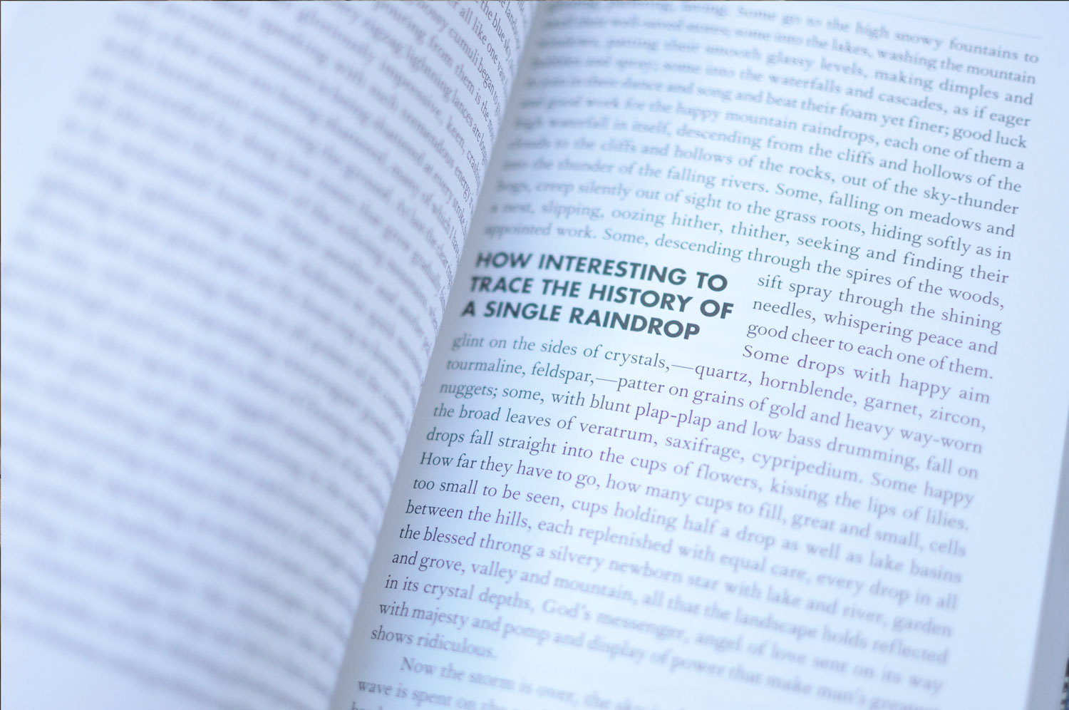 I AM COYOTE book interior pull quote