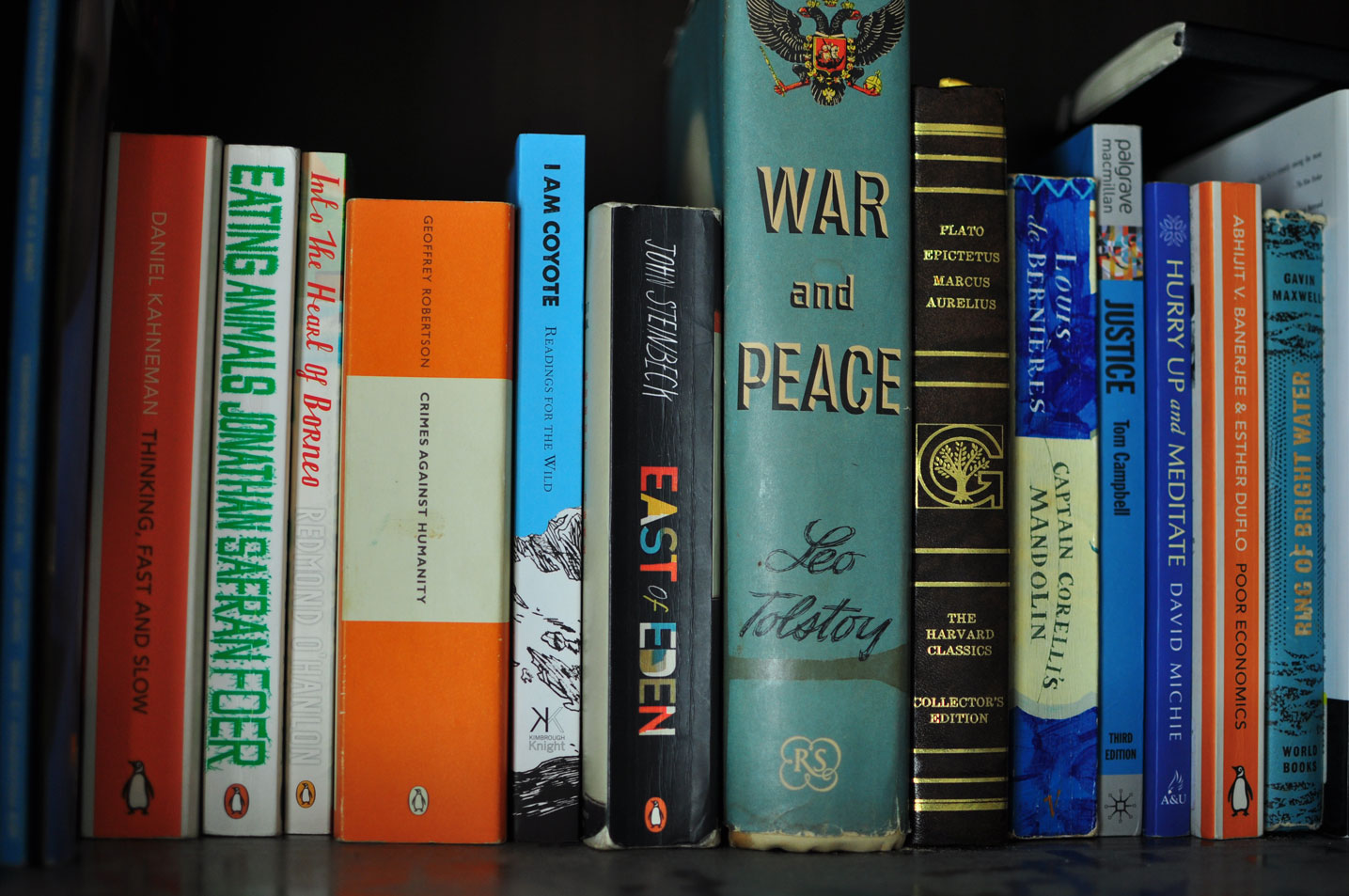 I AM COYOTE book on shelf